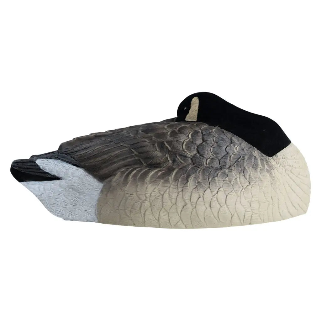 Rugged Series Canada Sleeper Shell Decoys – Flocked Head 6 Pack