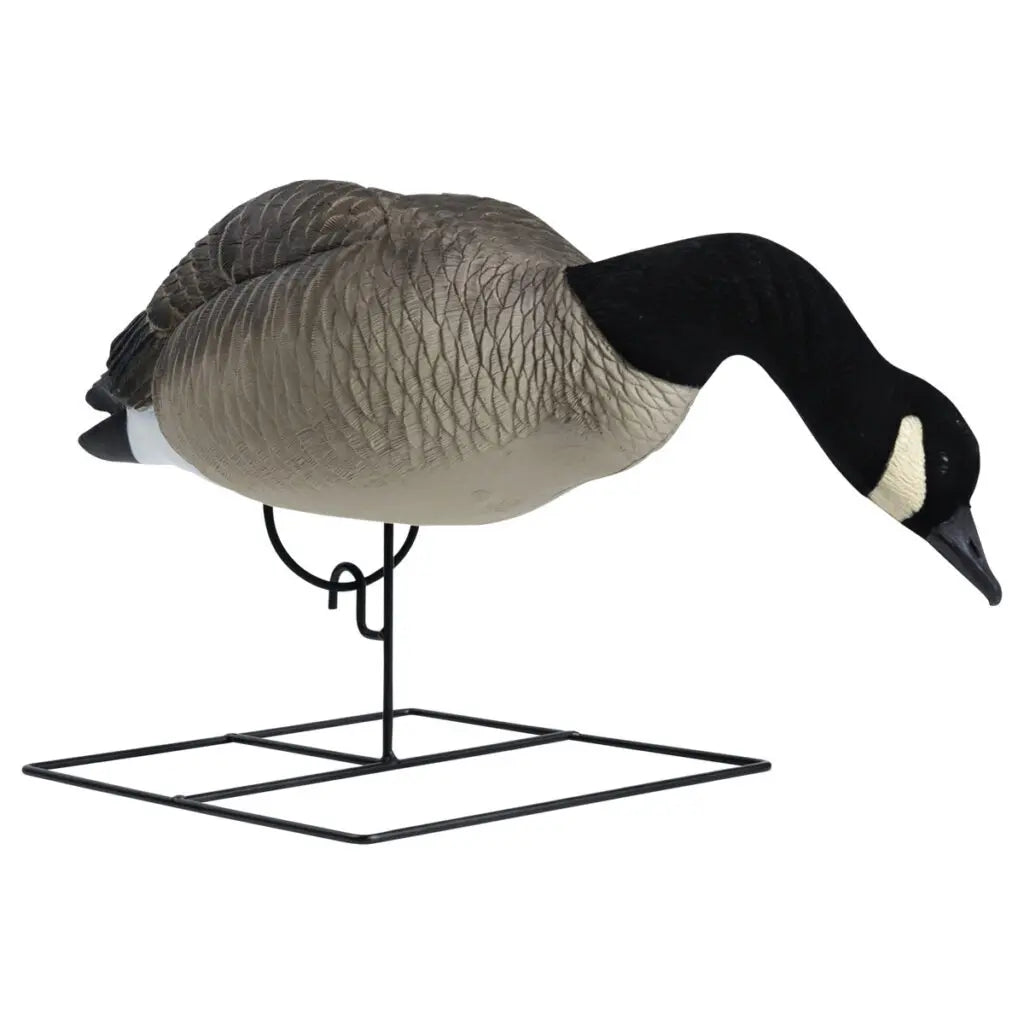 Rugged Series Full Body Canada Goose Feeder Decoys – Flocked Head