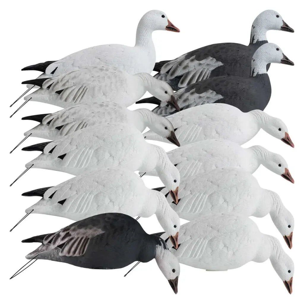 Rugged Series Full Body Snow and Blue Goose Touchdown Decoys 12-Pack