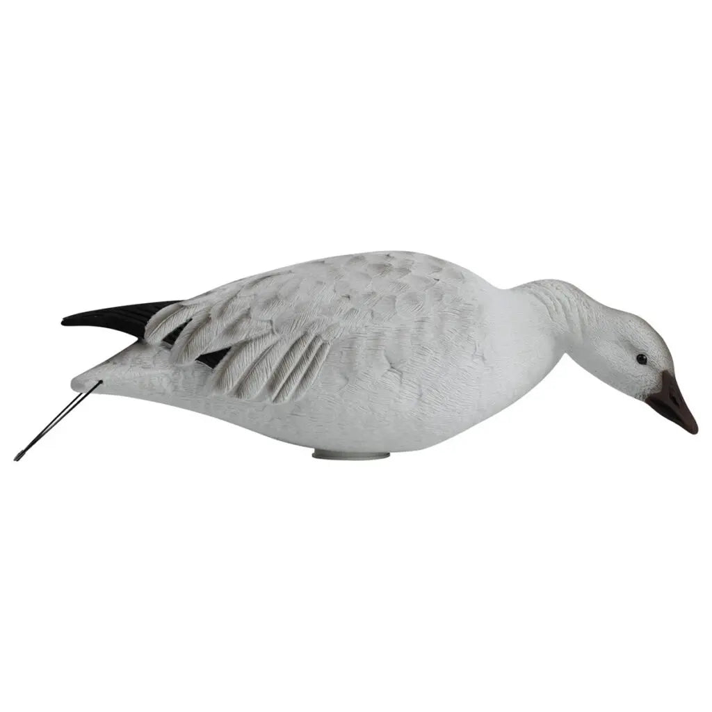Rugged Series Full Body Snow and Blue Goose Touchdown Decoys 12-Pack