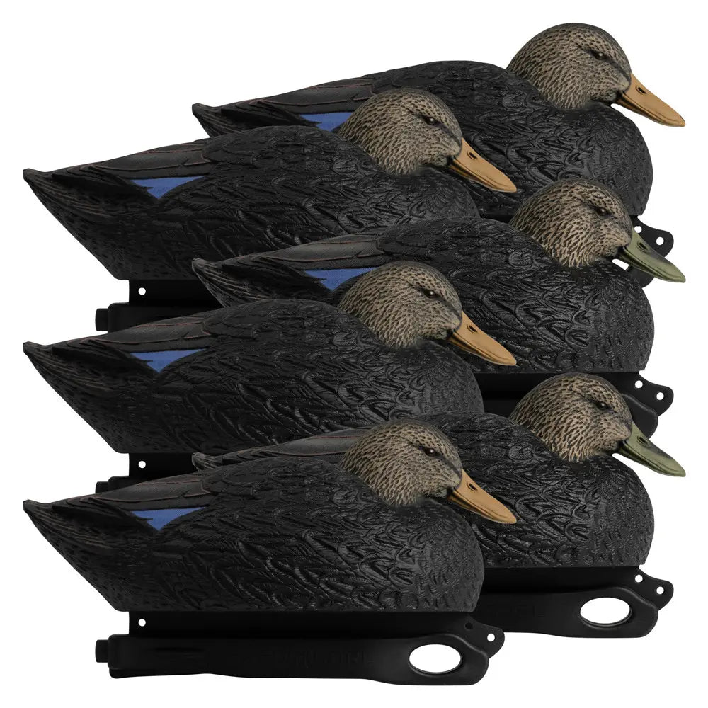 Rugged Series Magnum Black Duck Decoys