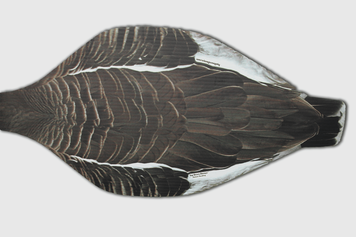 Top Down Decoys® SBS1 Specklebelly-Snow