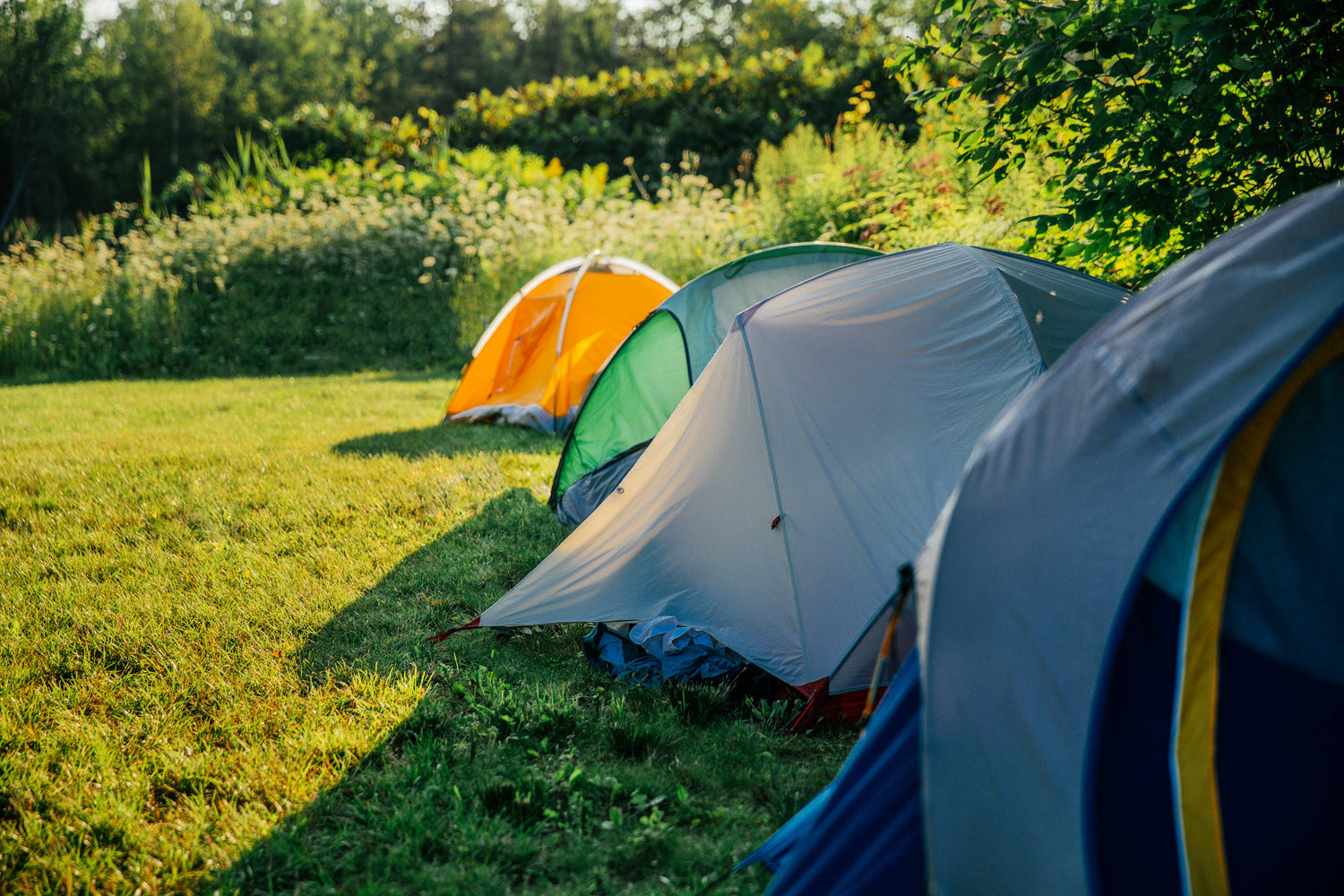 TENTS