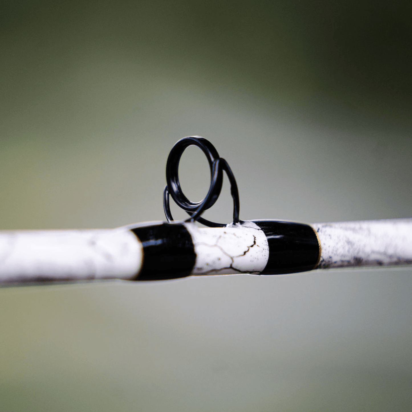1 of 220 The Testament of Time Casting Rod - Limited Edition Rod