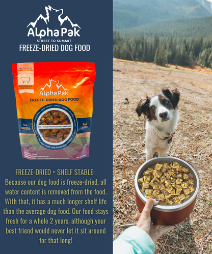 Freeze-Dried Raw Beef