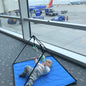 Lay and Play Adventure Mat