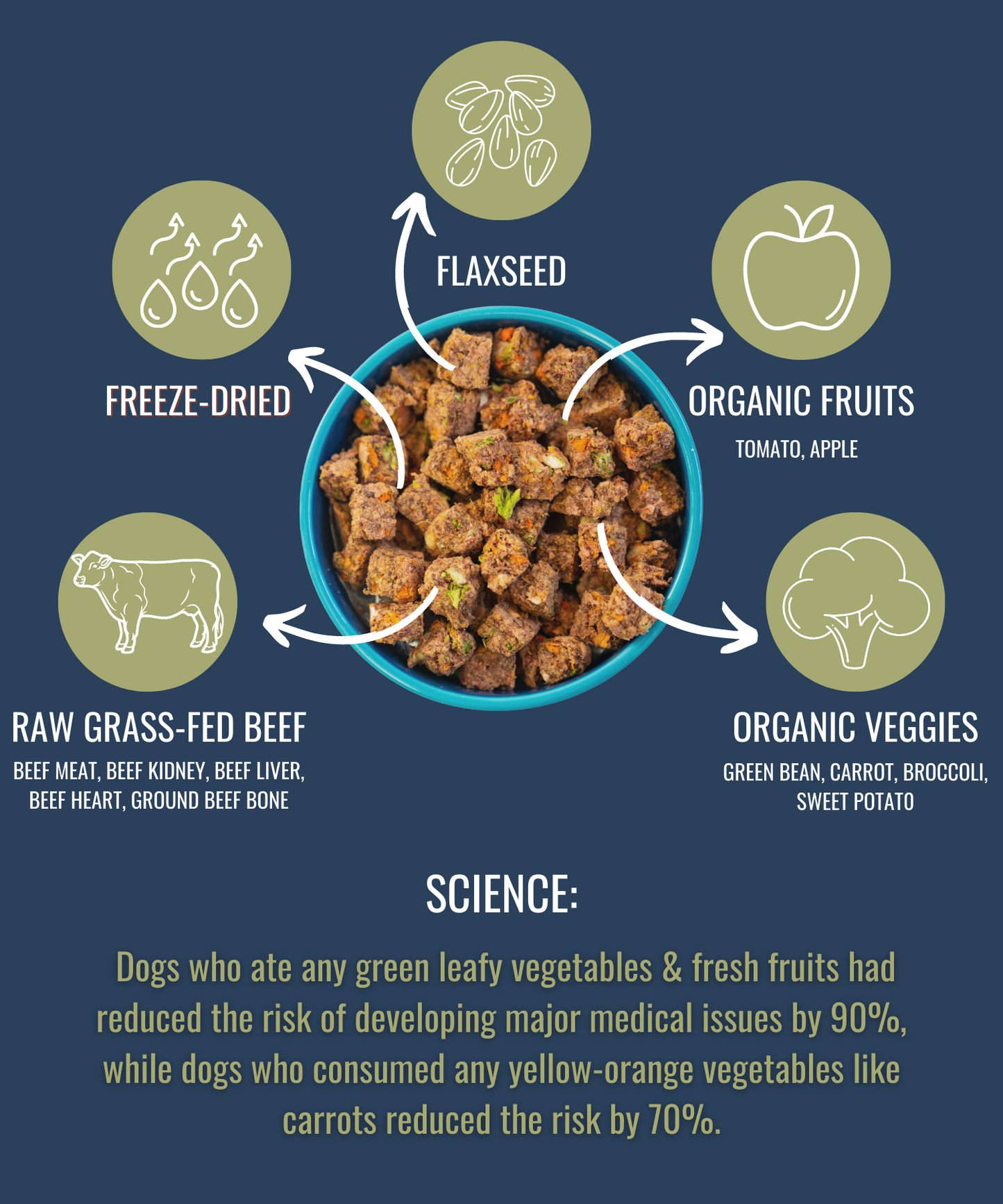 Freeze-Dried Raw Beef