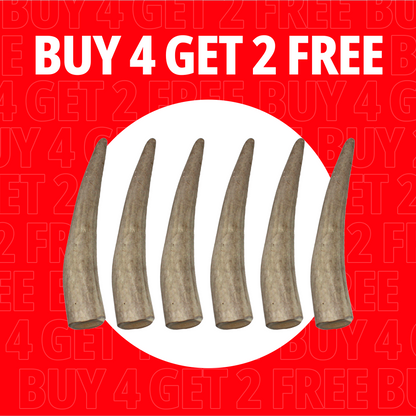 Small Antlers