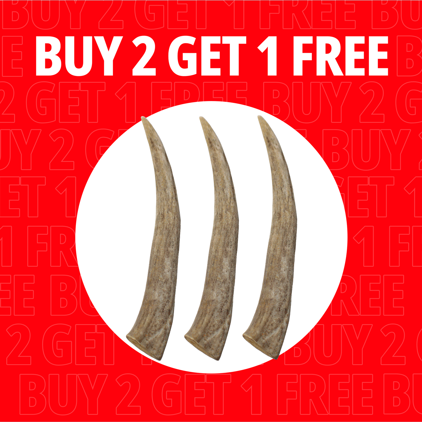 Large Antlers