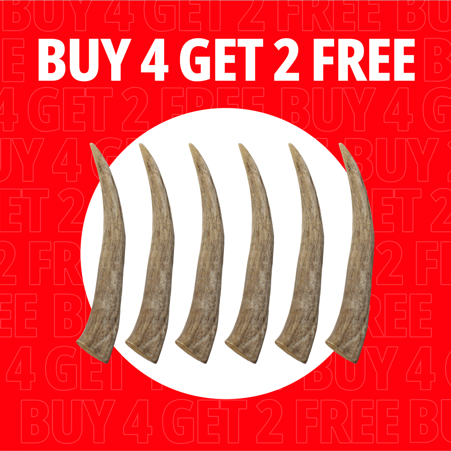 Large Antlers