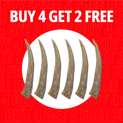 Large Antlers