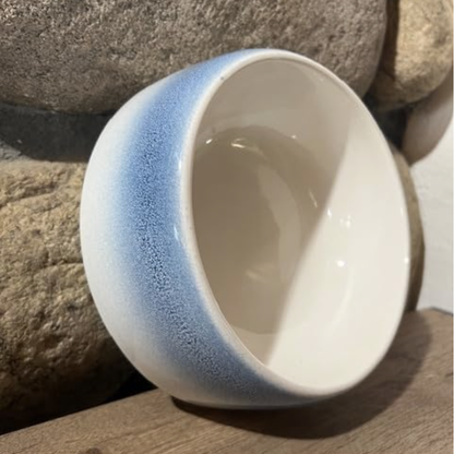 Byer Pet Bowl - Best Friend Blue