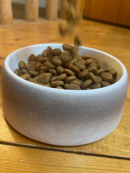Byer Pet Bowl - Biscuit