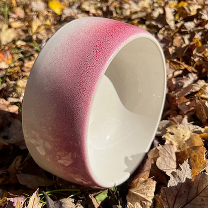 Byer Pet Bowl - Roll Over Red