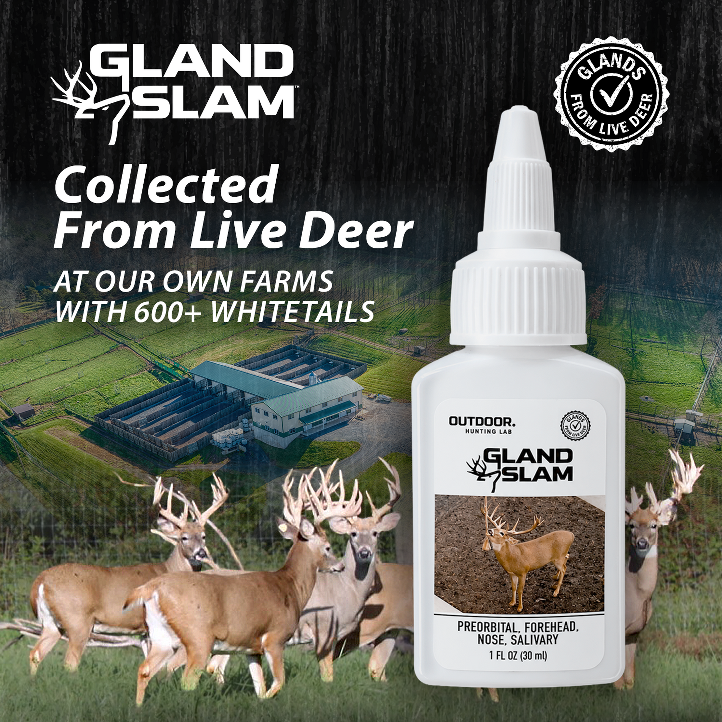 Gland Slam Triple Pack