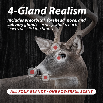 Gland Slam Rope Pack