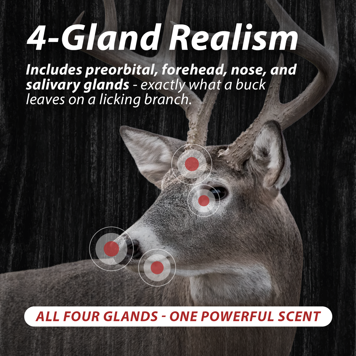 Gland Slam Triple Pack