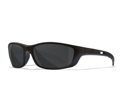 Wiley X P17 - All Colors and Polarized