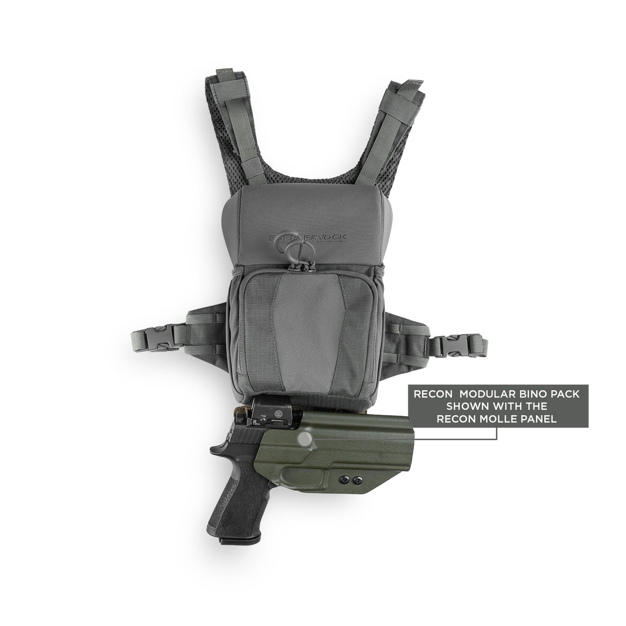 Eberlestock Recon MOLLE Panel