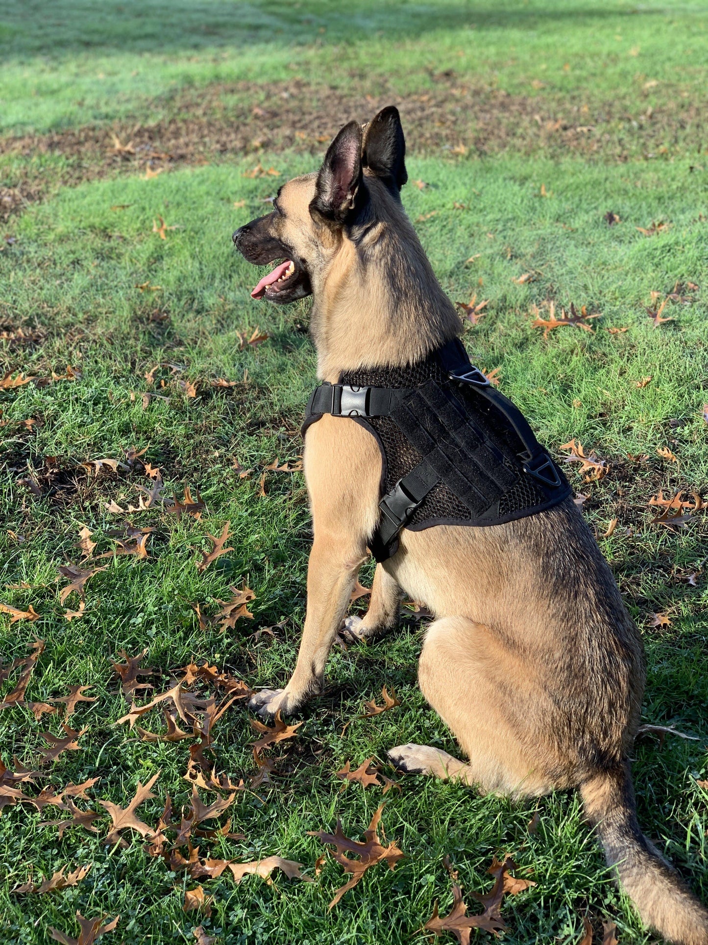 Artemis Dog Harness - No Pull No Tug No Choke Adjustable Breathable K-9