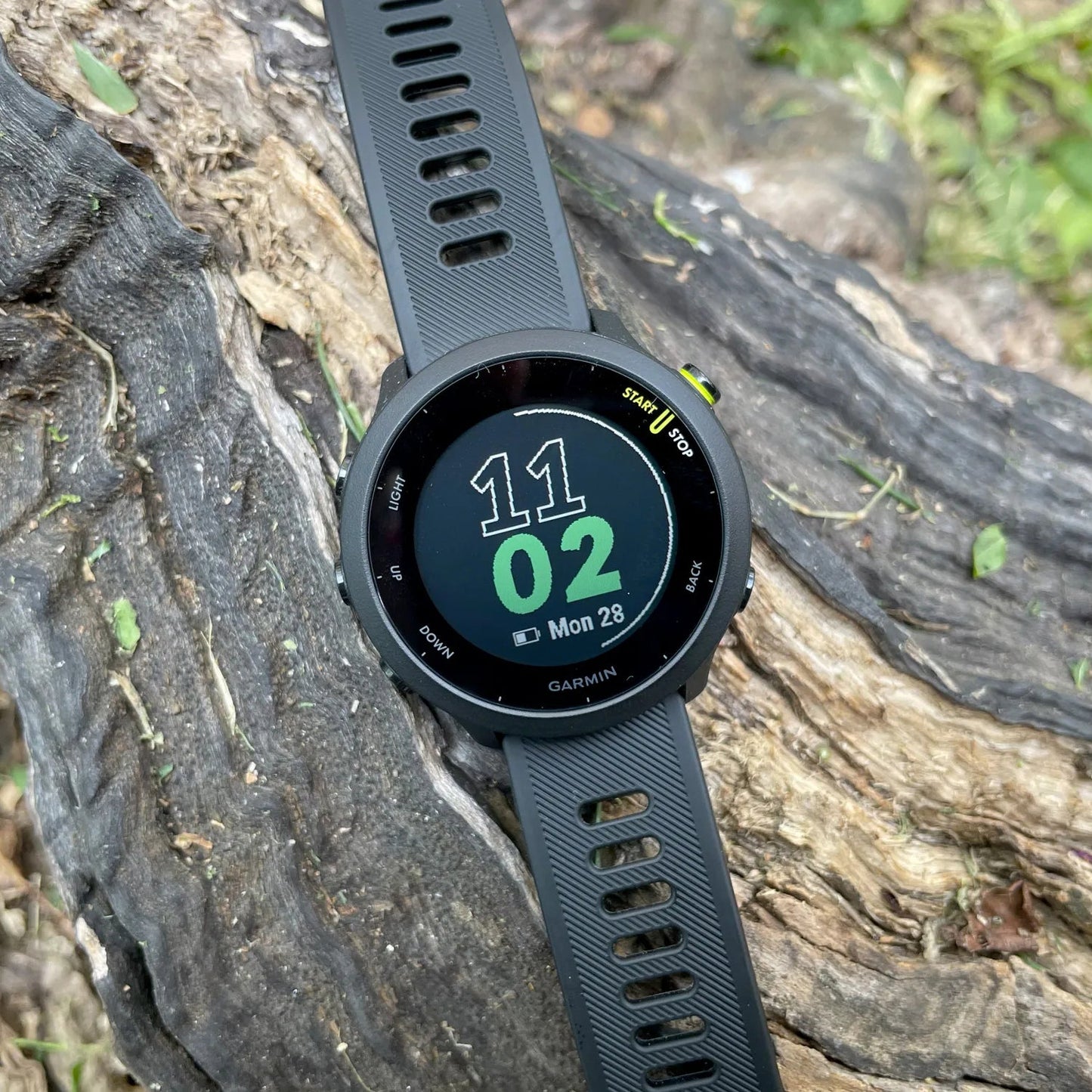 Garmin Forerunner 55 - Running Smartwatch w/ SOS Alert System
