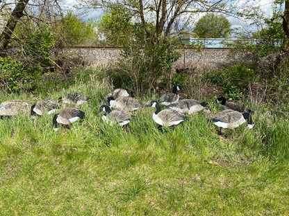Magnum Lite 3D Canada Geese