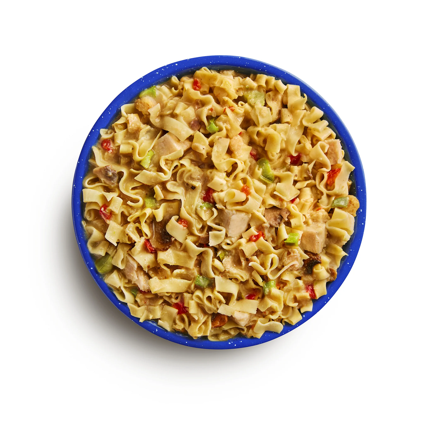 Mountain House Homestyle Chicken Noodle Casserole #10 Can