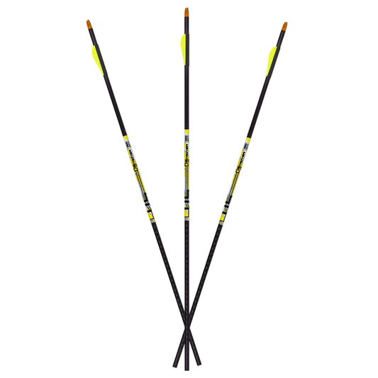 Carbon Express D-Stroyer Fletched Carbon Hunting Arrows (6-Pack)