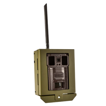 Covert WC30 Series Bear and Security Safe Box