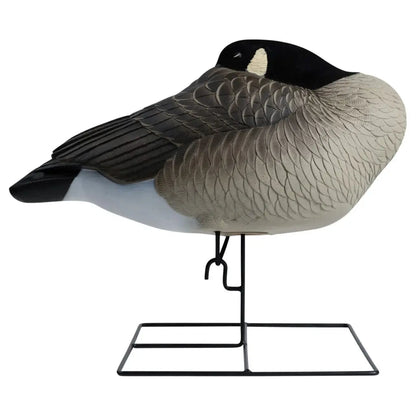 Rugged Series Flocked Head Full Body Canada Sleeper 4-Pack