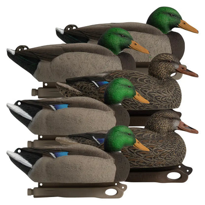 Rugged Series Standard Mallard