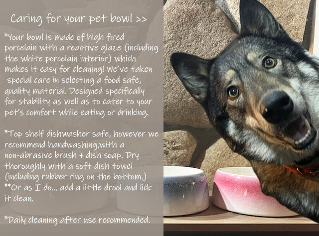 Byer Pet Bowl - Biscuit