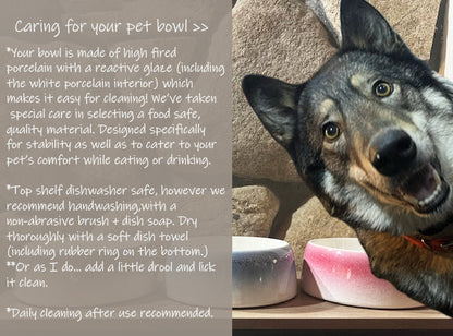 Byer Pet Bowl - Biscuit