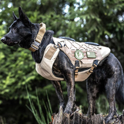 Titan K-9 Vest (Harness only)