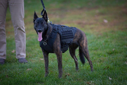 Titan K-9 Vest (Harness only)